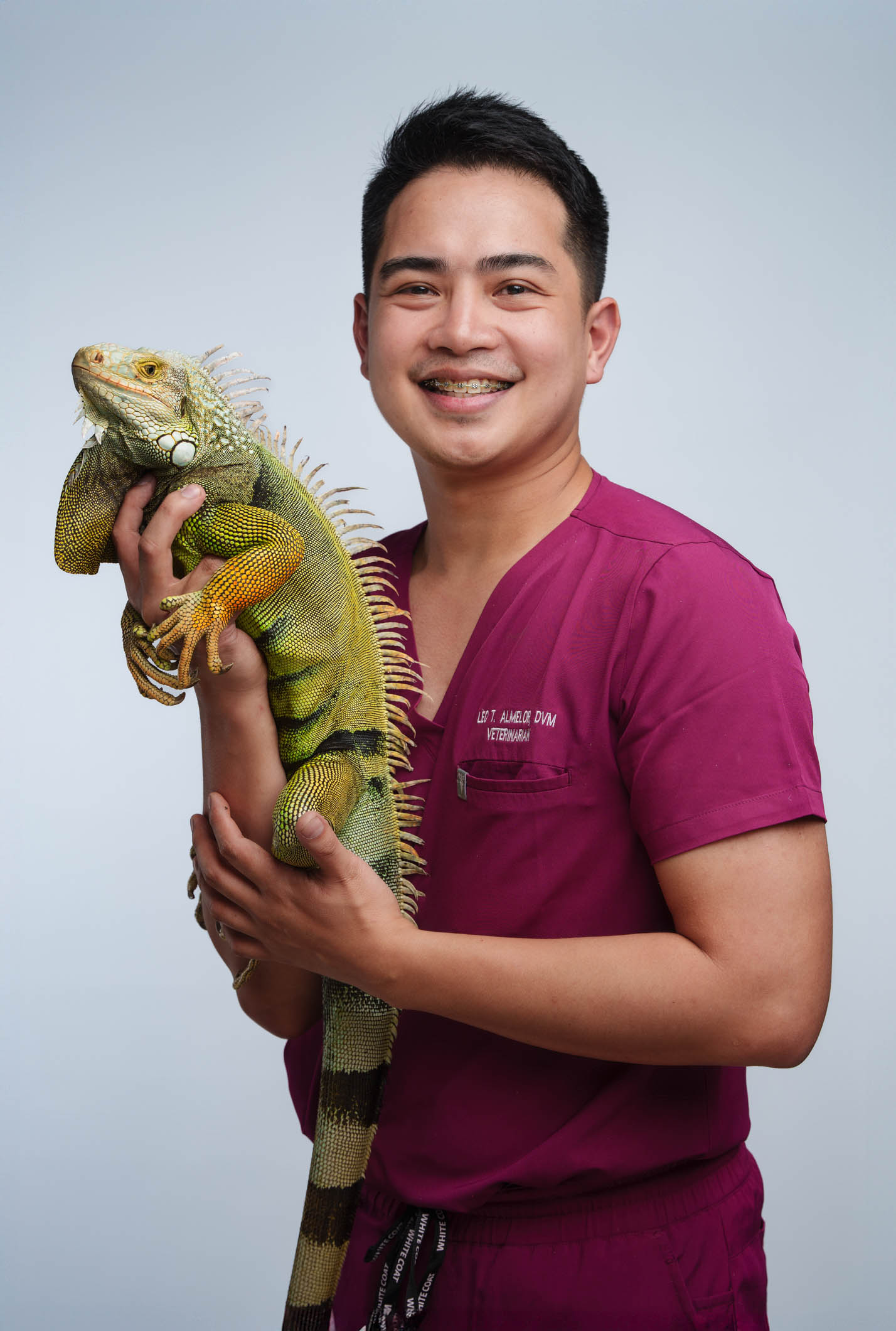 Iguana pet portrait in Alabang