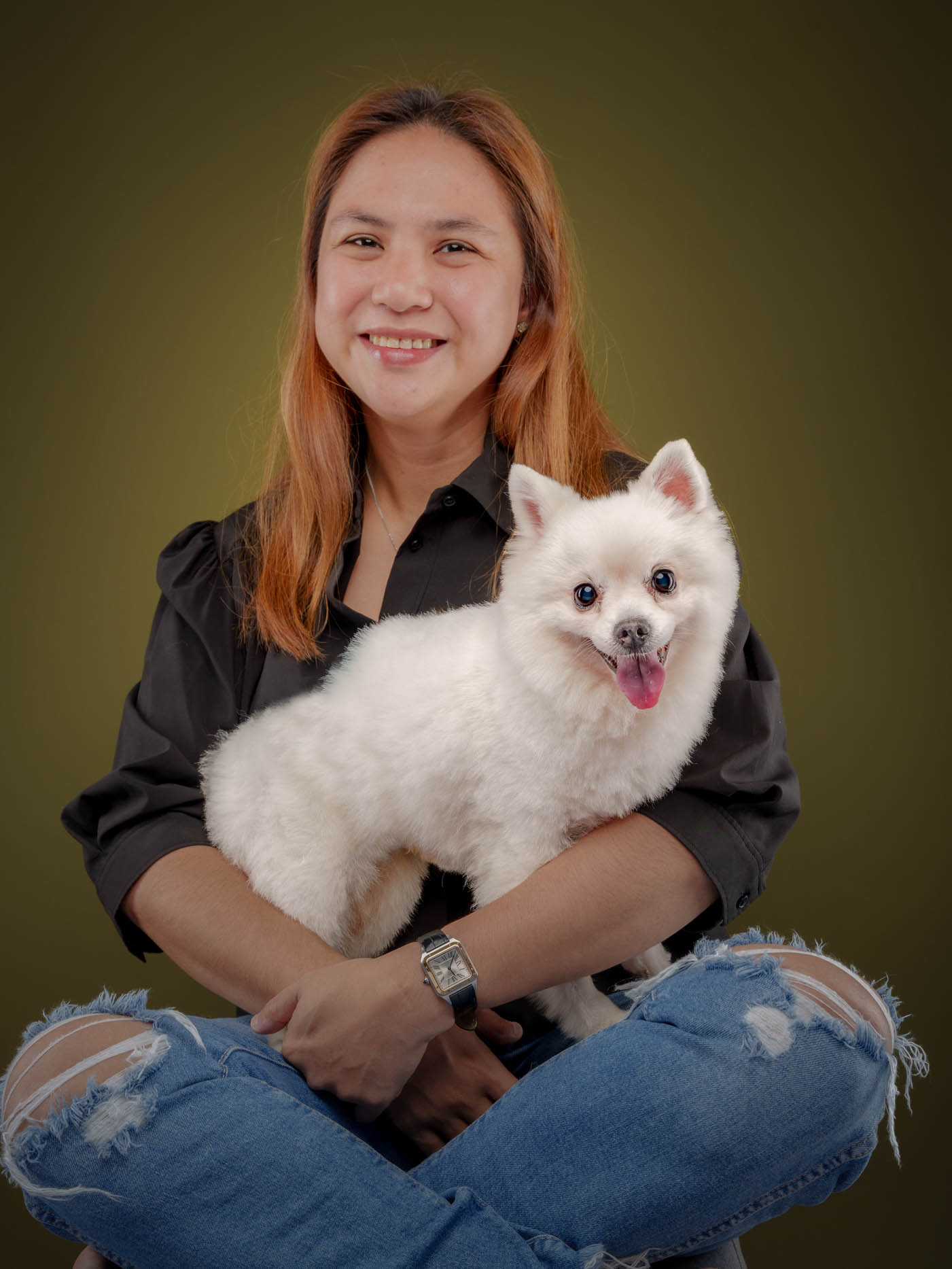 Pomeranian pet portrait in San Juan