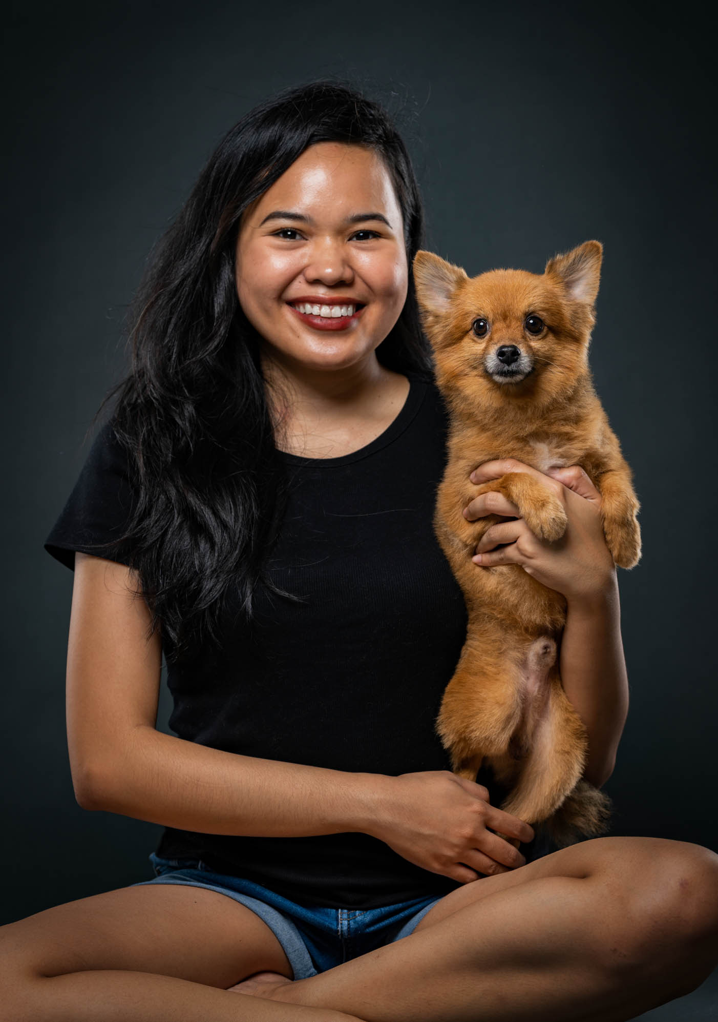Pomeranian pet portrait in Cavite