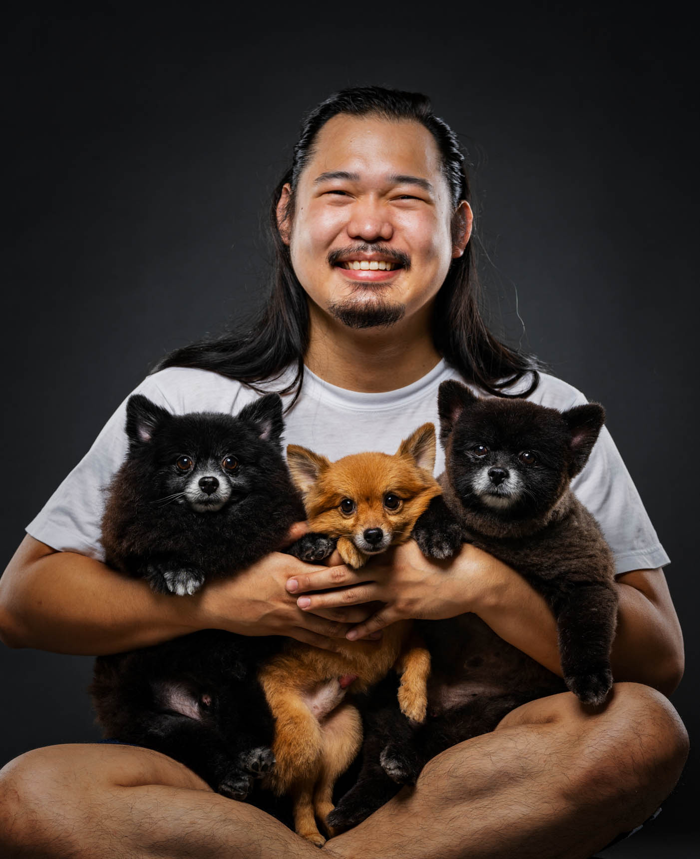 Pomeranian pet portrait in Cavite