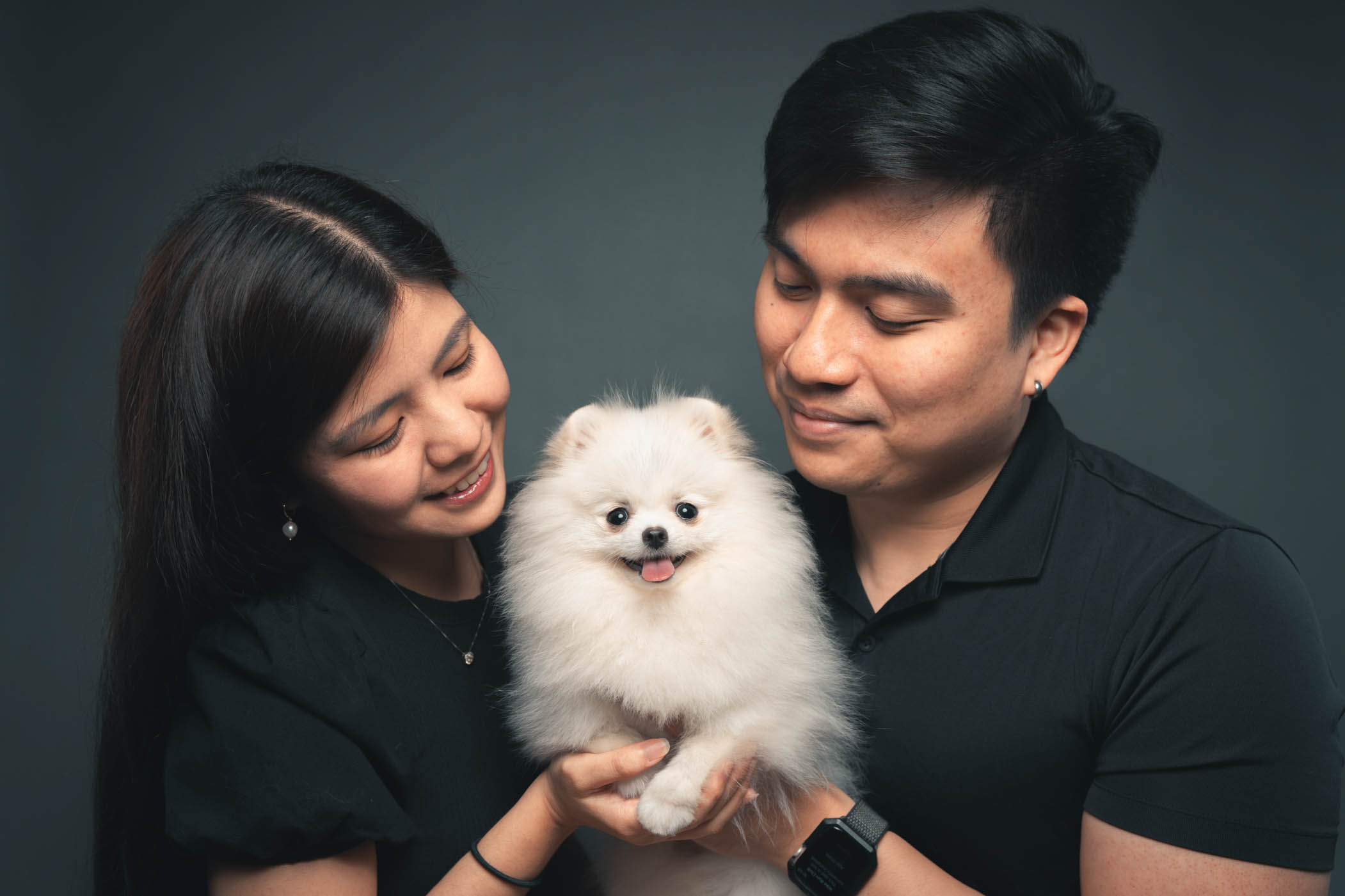 Fluffy Pomeranian pet portrait by PawPlay Studios