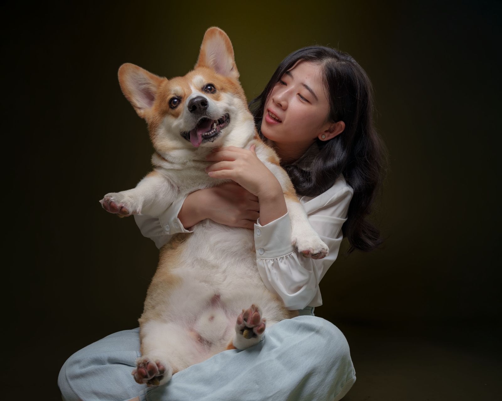 Corgi pet portrait in Taguig